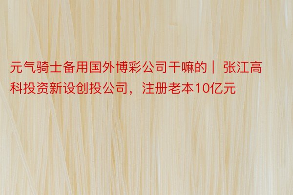 元气骑士备用国外博彩公司干嘛的 |  张江高科投资新设创投公司，注册老本10亿元