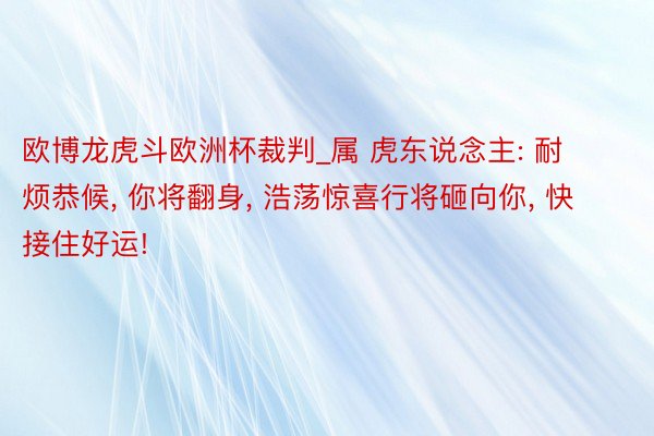 欧博龙虎斗欧洲杯裁判_属 虎东说念主: 耐烦恭候, 你将翻身, 浩荡惊喜行将砸向你, 快接住好运!