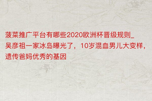 菠菜推广平台有哪些2020欧洲杯晋级规则_吴彦祖一家冰岛曝光了，10岁混血男儿大变样，遗传爸妈优秀的基因