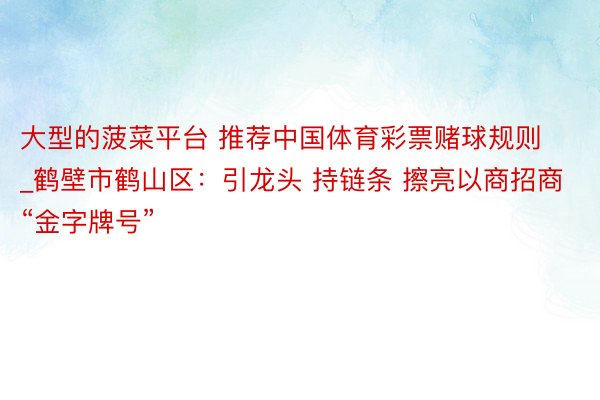 大型的菠菜平台 推荐中国体育彩票赌球规则_鹤壁市鹤山区：引龙头 持链条 擦亮以商招商“金字牌号”